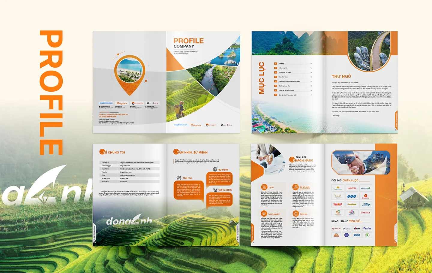 thiet-ke-profile-du-lich-dong-anh